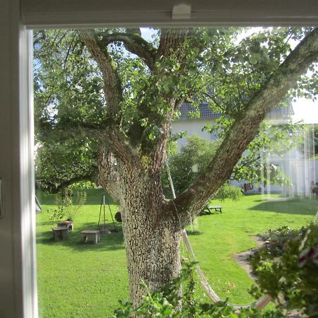 Apartment Am Apfelbaum ロイトリンゲン エクステリア 写真